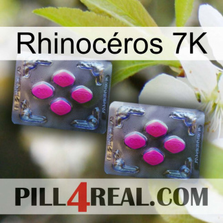 Rhinocéros 7K 01